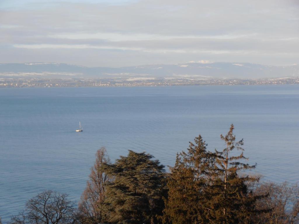 Hotel Evian Express - Terminus Стая снимка